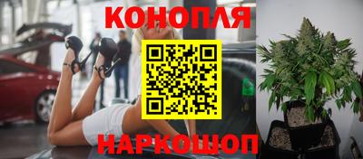твердый Можга