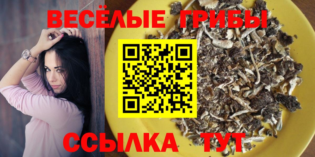 Галлюциногенные грибы GOLDEN TEACHER Урай